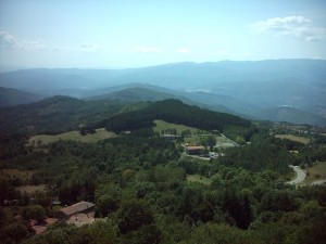 Un oasi di serenità.