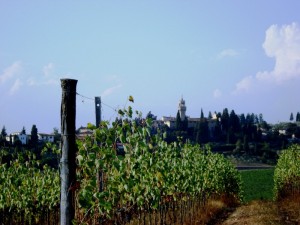 Campagna Toscana con il Castello di Montegufoni