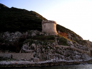 Torre Paola