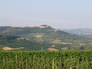Magliano Alfieri e la langhe