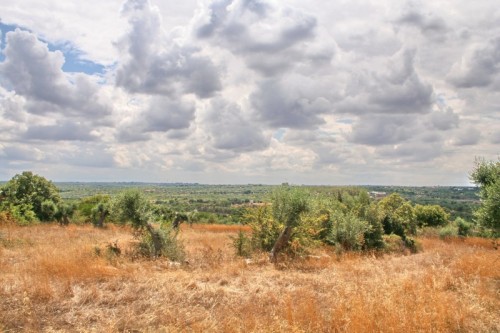 Conversano - vista dalla torre di castiglione Conversano - vista dalla torre di castiglione