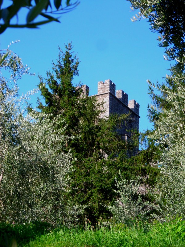 ''Torre del castello di Vezio'' - Perledo