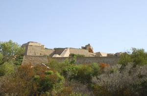 Macchia mediterranea a Forte d’Altura
