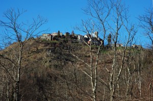 Campane d’oro a Cecina