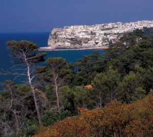 Panorama di Peschici dalla punta di Montepucci