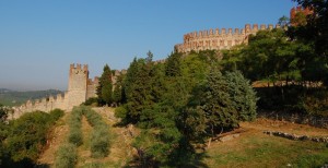 soave2