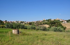 Panorama di Avigliano Umbro (TR)