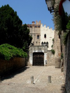 Castello Cini 3