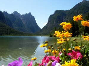 Colori sul lago