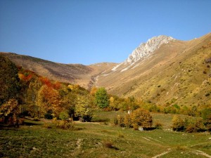 paesaggio nel “Bosco di faggio” di Palanfrè, frazione di Vernante, Val Vermenegna