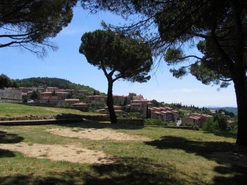 Montalcino - MONTALCINO Montalcino - MONTALCINO