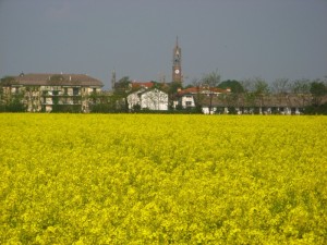 Panorama di Trecella…in giallo