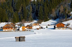 I masi della vallata di Anterselva
