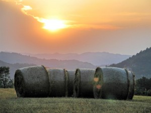 Giugno al tramonto