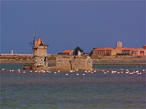 saline con mulini a vento