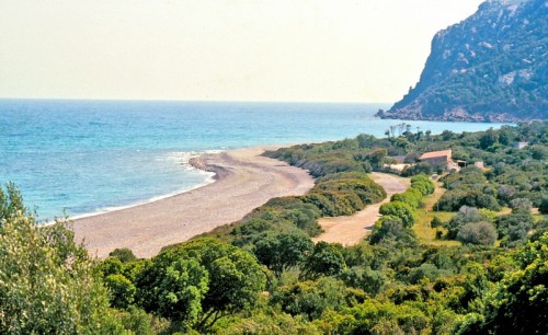 Cardedu - Coccorrocci Cardedu - Coccorrocci