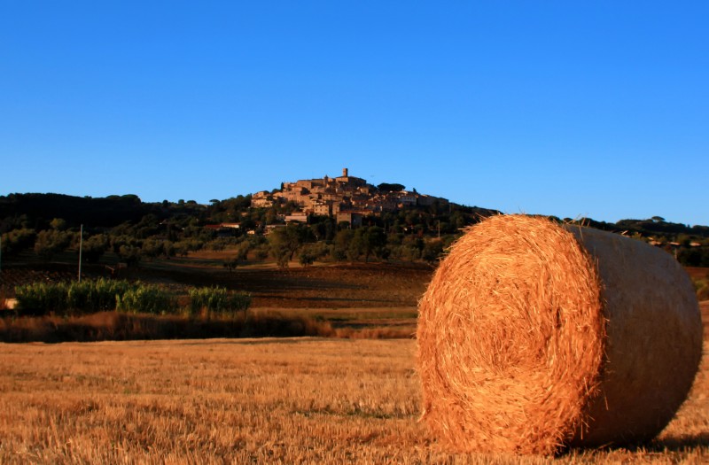 ''Non è una “balla”: è Casale Marittimo!'' - Casale Marittimo