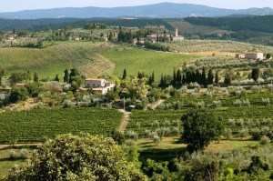 panorama verso l’ Abbazia di Monte Oliveto