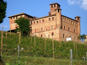 castello di Grinzane