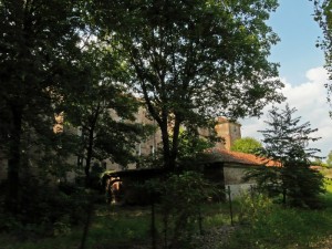 Tra fronde ed arbusti … il VERO Castello di Stupinigi !!!