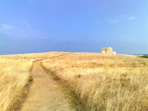 Carovigno - Arrivando alla Torre Guaceto Carovigno - Arrivando alla Torre Guaceto