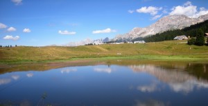 Ovunque si guardi c’è bellezza