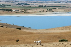 La piana di Oschiri e il lago del Coghinas