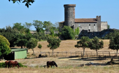 Canino - Sopra il Fiora