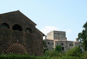 La Montecchia 3