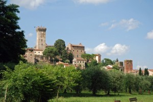 Il giardino degli ulivi