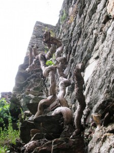 Scalando un vecchio muro