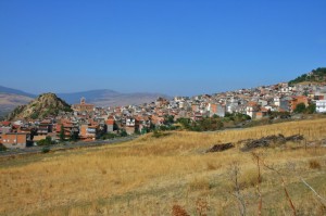 il posto delle fragole