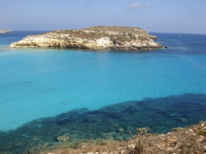 L’isola dei conigli