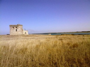 Riserva naturale statale Torre Guaceto