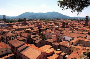 I tetti di Lucca