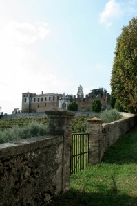 Arrivando al Castello di San Salvatore