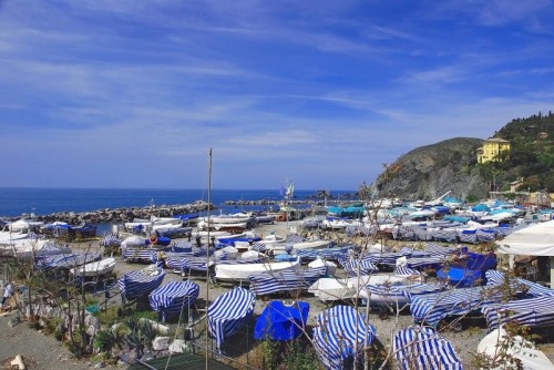 Levanto - "bianco&blu" Levanto - "bianco&blu"