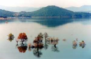 Il Lago di Montedoglio
