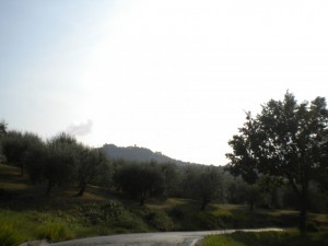 Castello  Malatestiano di Verucchio