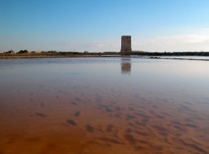torre nubia paceco