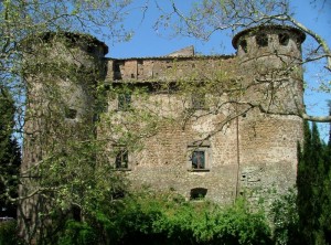 Tra Gli Alberi Secolari