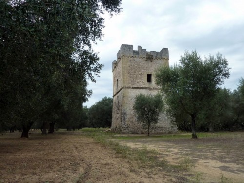 Torchiarolo - Torre Lo Muccio