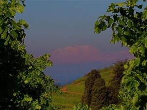 monte rosa visto da Montevecchia