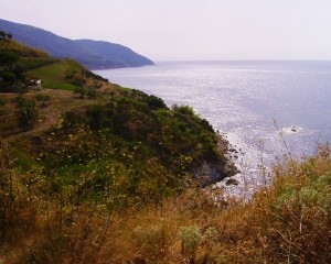 I colori della Natura