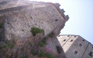 Dal basso della torre