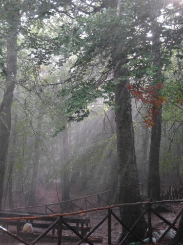 San Luca - neve d'estate