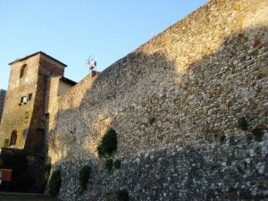 il cervo e le mura al tramonto in quel di San Casciano