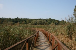 passerella per il canneto