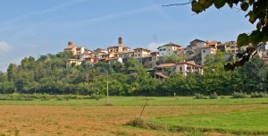 Nella via dei Santi e del Vino: Pino d’Asti