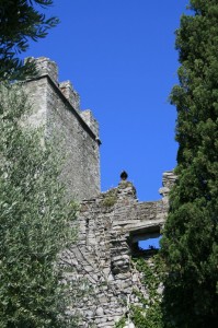 torre del castello con insolito giuardiano